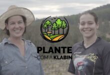 Klabin oferece oportunidade de renda extra para produtores rurais