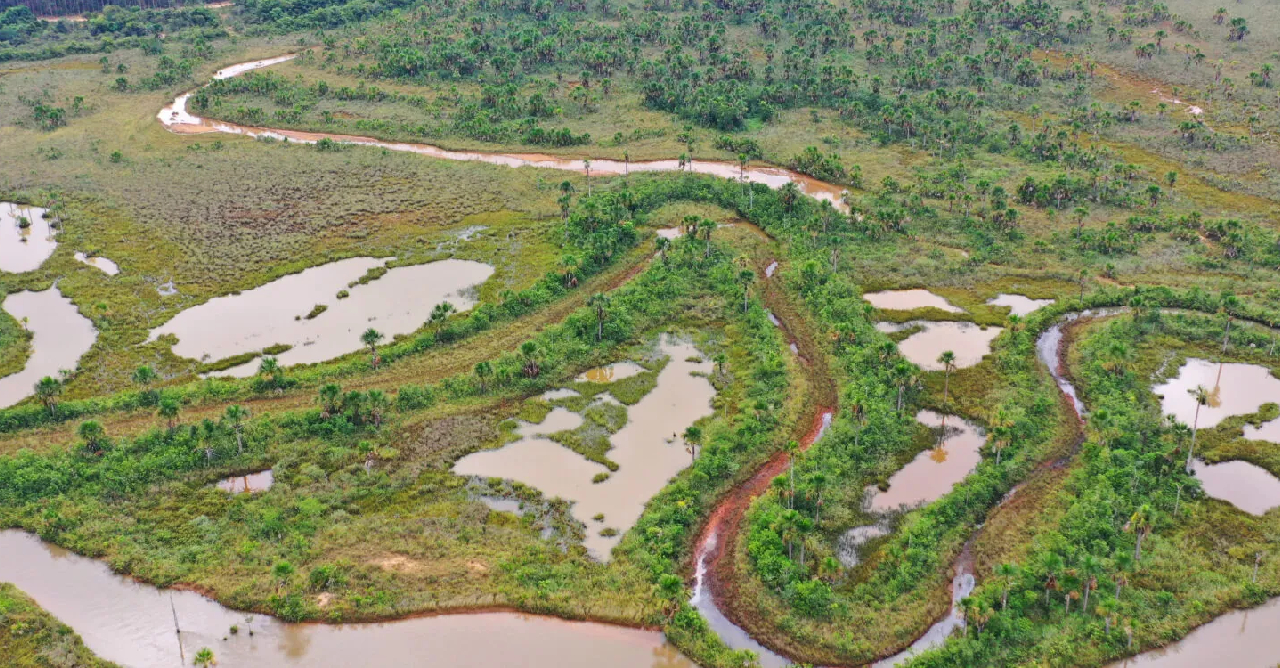 Eldorado Brasil Celulose é certificada por preservação de ecossistemas
