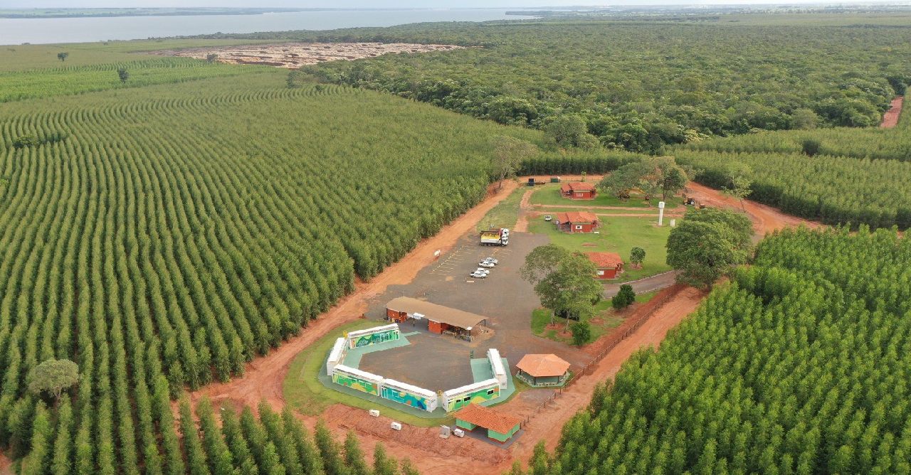 Eldorado Brasil inaugura Centro de Treinamento Itinerante Florestal