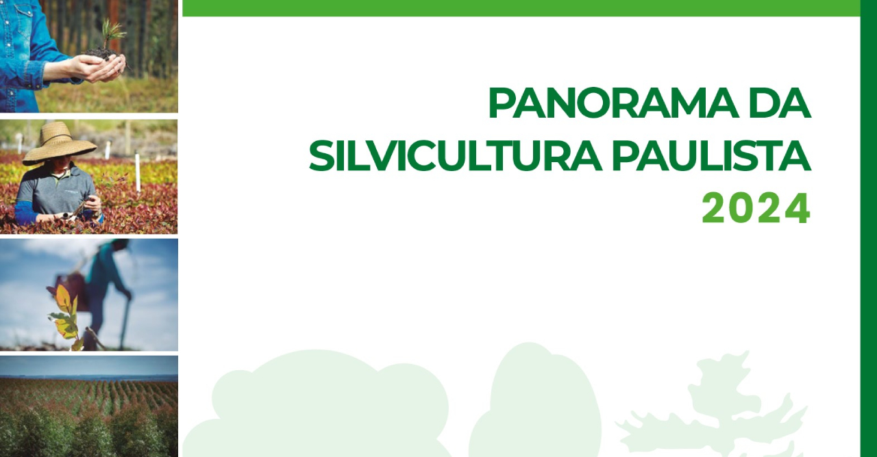 Florestar São Paulo lança panorama da Silvicultura Paulista 2024