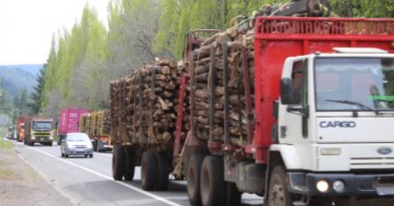 Exportações florestais registram queda de 7,1% no terceiro trimestre na região de Biobío, no Chile