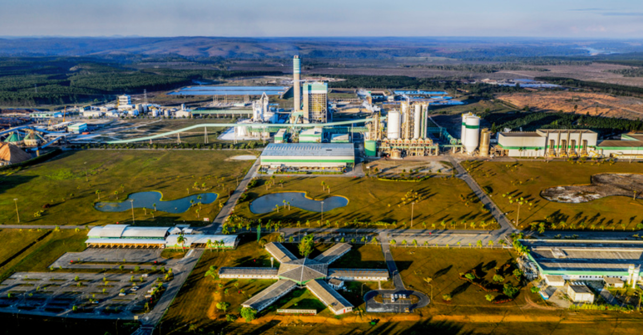 Veracel abre vaga para Analista de Processos Florestais na área de Qualidade