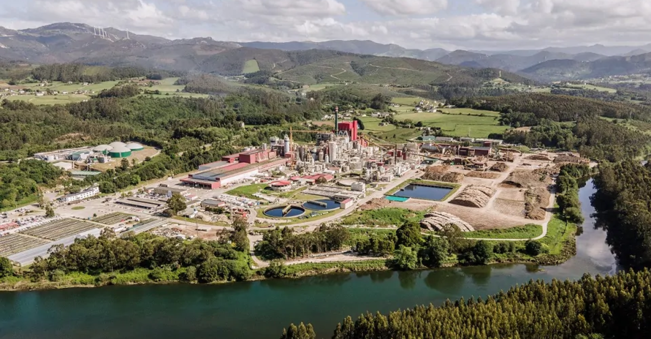 Ence acelera transformação para celuloses especiais em meio à queda dos preços globais