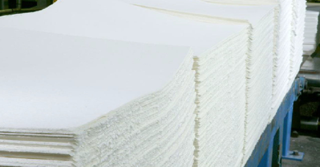 Brasil avança no mercado global de celulose e projeta maior peso nas exportações aos EUA