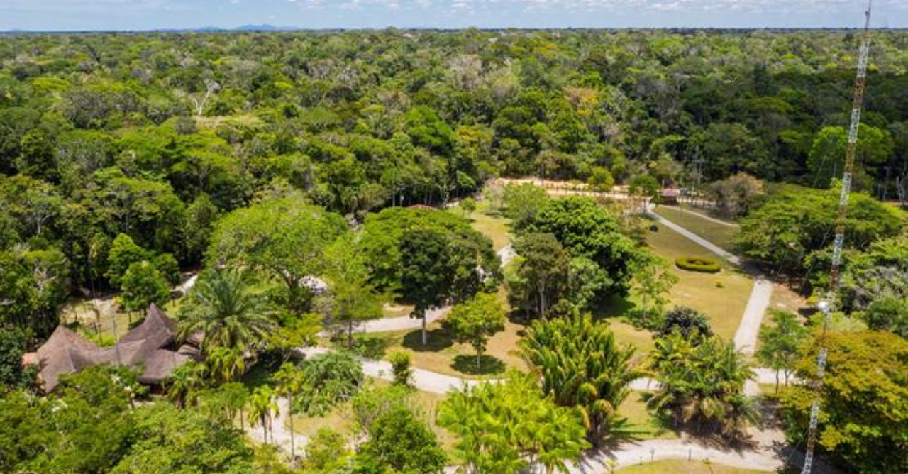 Dia Nacional das RPPNs é celebrado com destaque para a atuação da Veracel no sul da Bahia