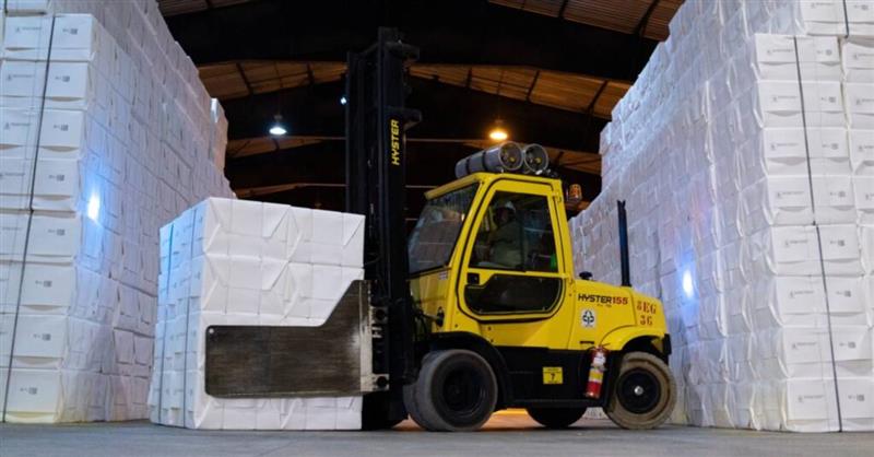 CENIBRA implementa solução digital para rastreabilidade ambiental na cadeia de celulose