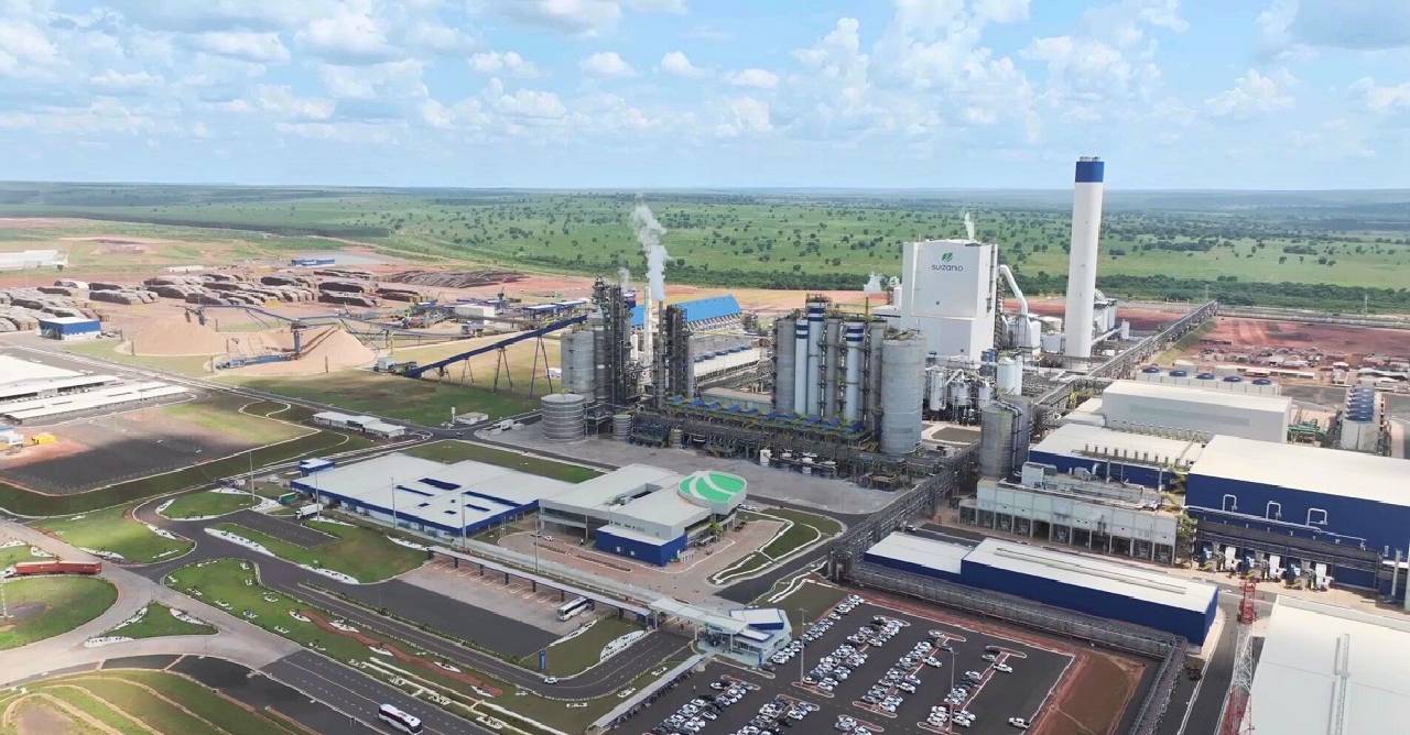 Suzano abre vagas em Brasilândia e Três Lagoas (MS) nas áreas florestal e industrial