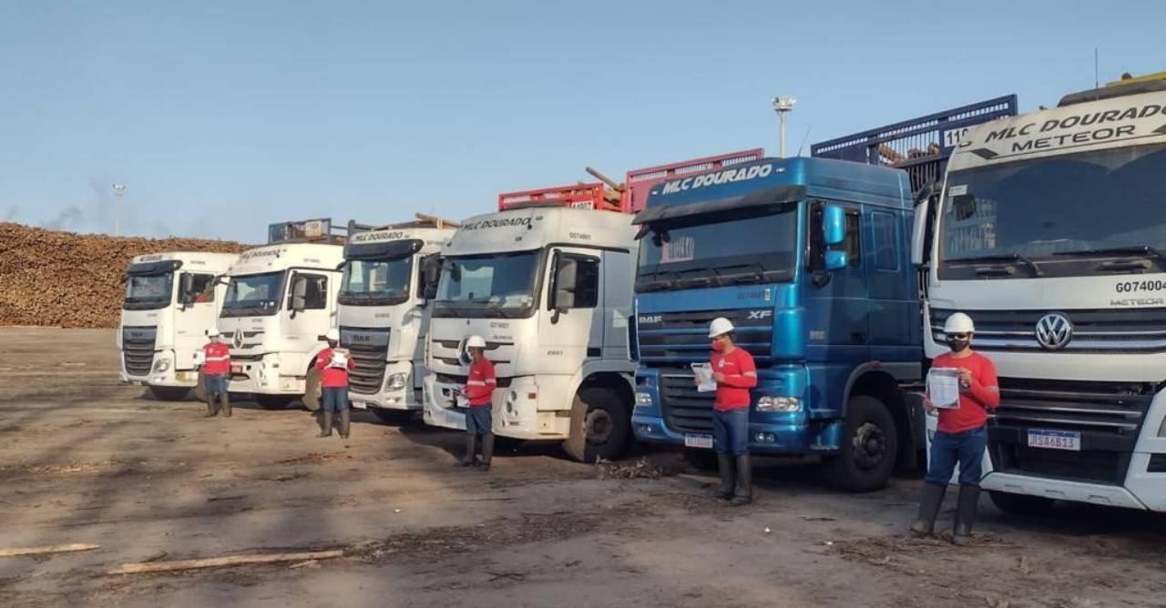 Suzano busca micro e pequenas transportadoras para ampliar operação florestal no Espírito Santo