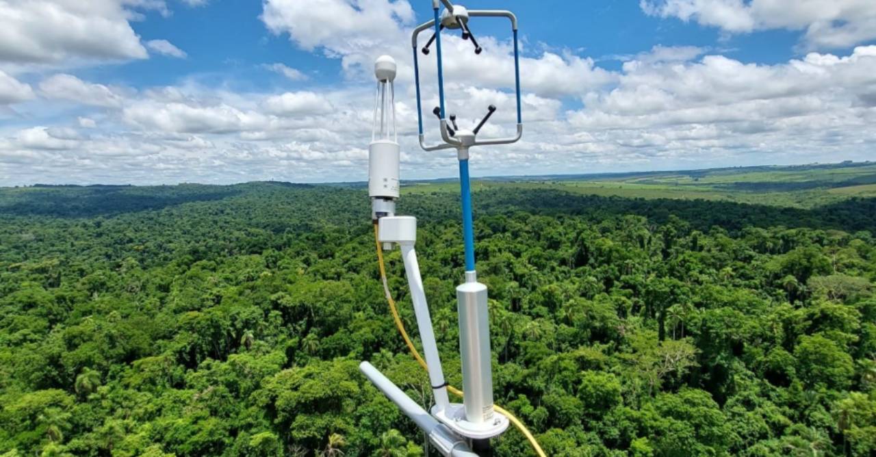 Bracell remove 6 milhões de toneladas de CO₂ e avança em monitoramento climático