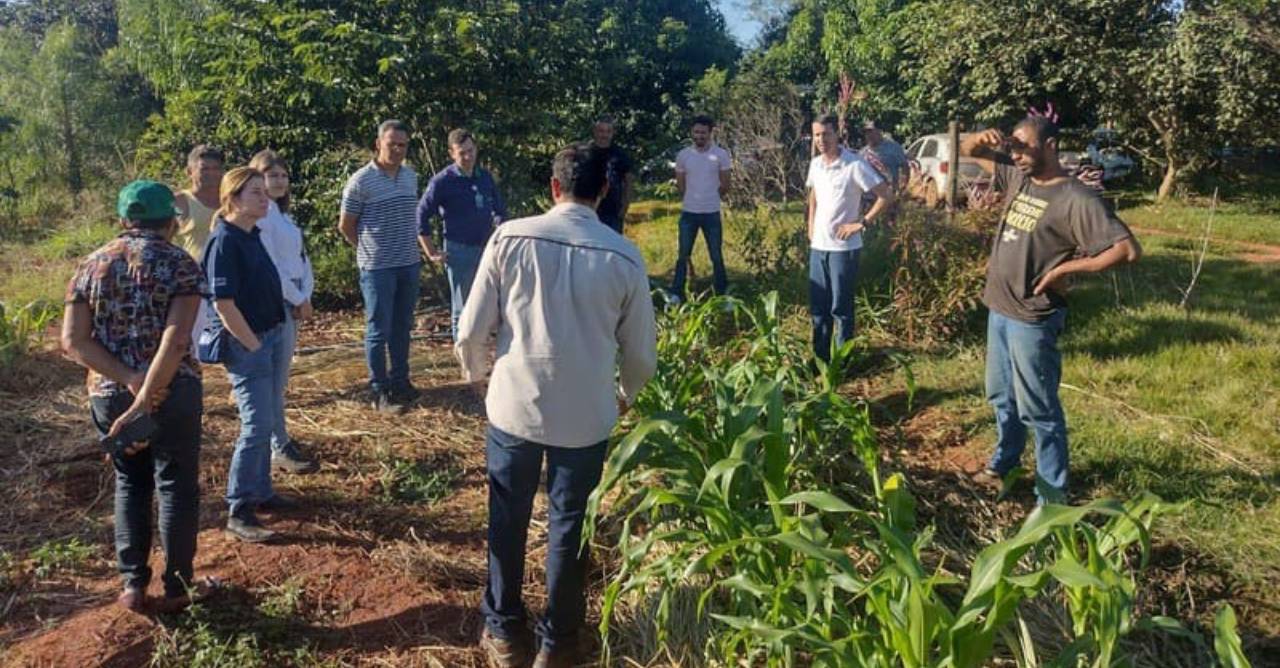 Suzano amplia impacto social e contribui para a geração de renda de mais de 31 mil pessoas em MS