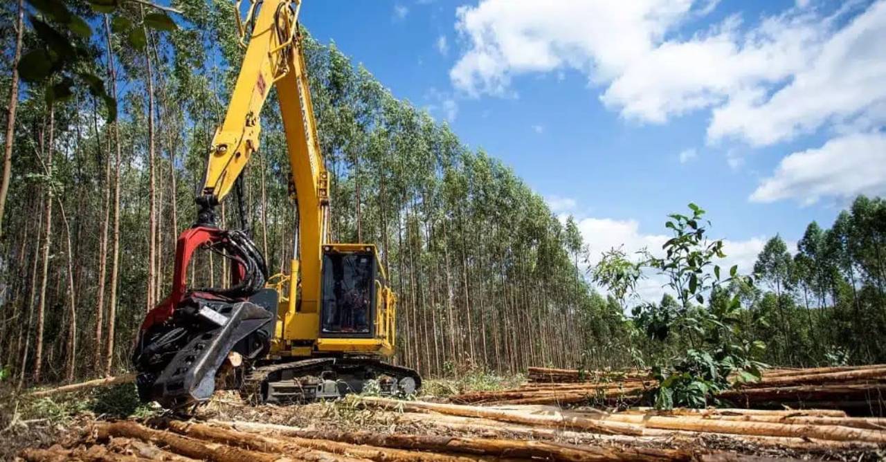 Suzano amplia logística reversa de baterias e fortalece economia circular nas operações florestais