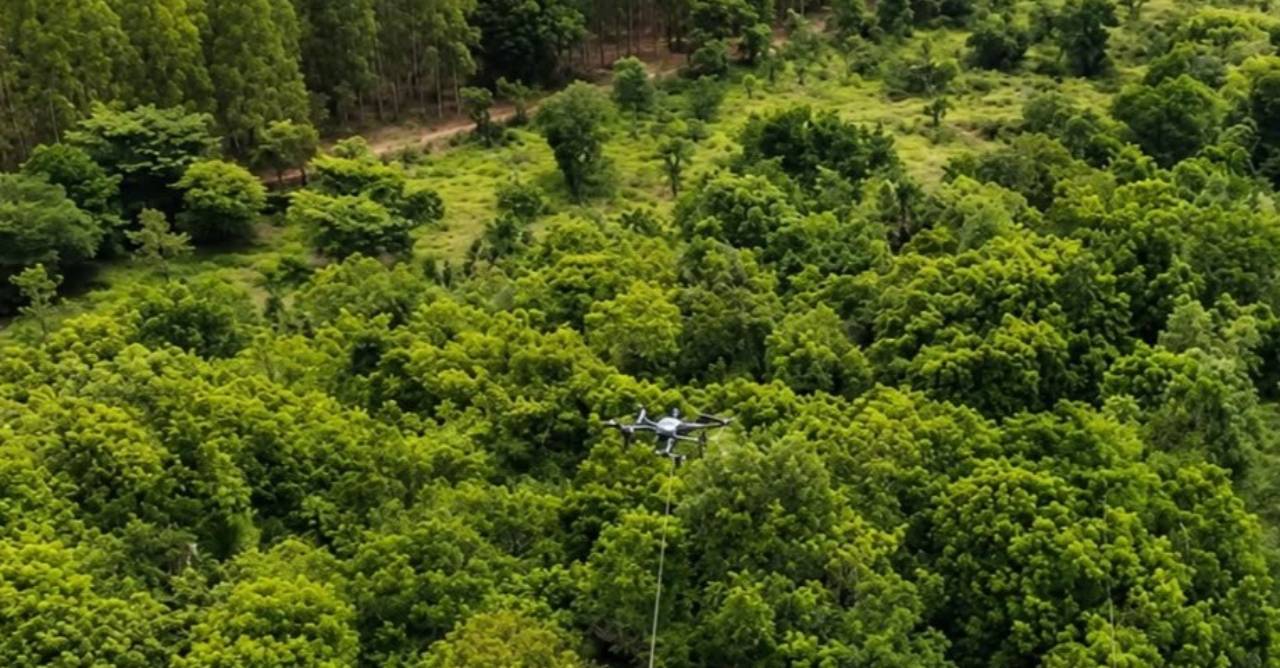 Arauco utiliza drones para reduzir impactos ambientais na implantação de linha de transmissão do Projeto Sucuriú