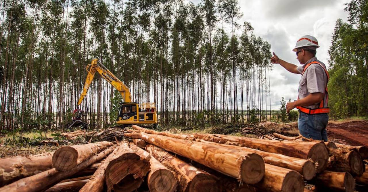 Suzano abre vagas para operadores e mecânicos de máquinas florestais em cinco estados