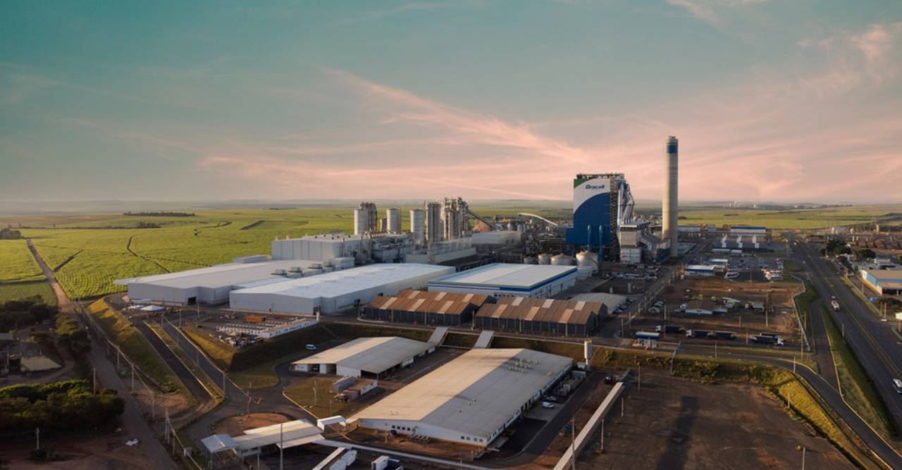 Tarifa dos EUA sobre celulose solúvel acende alerta para cadeia florestal da Bracell na Bahia