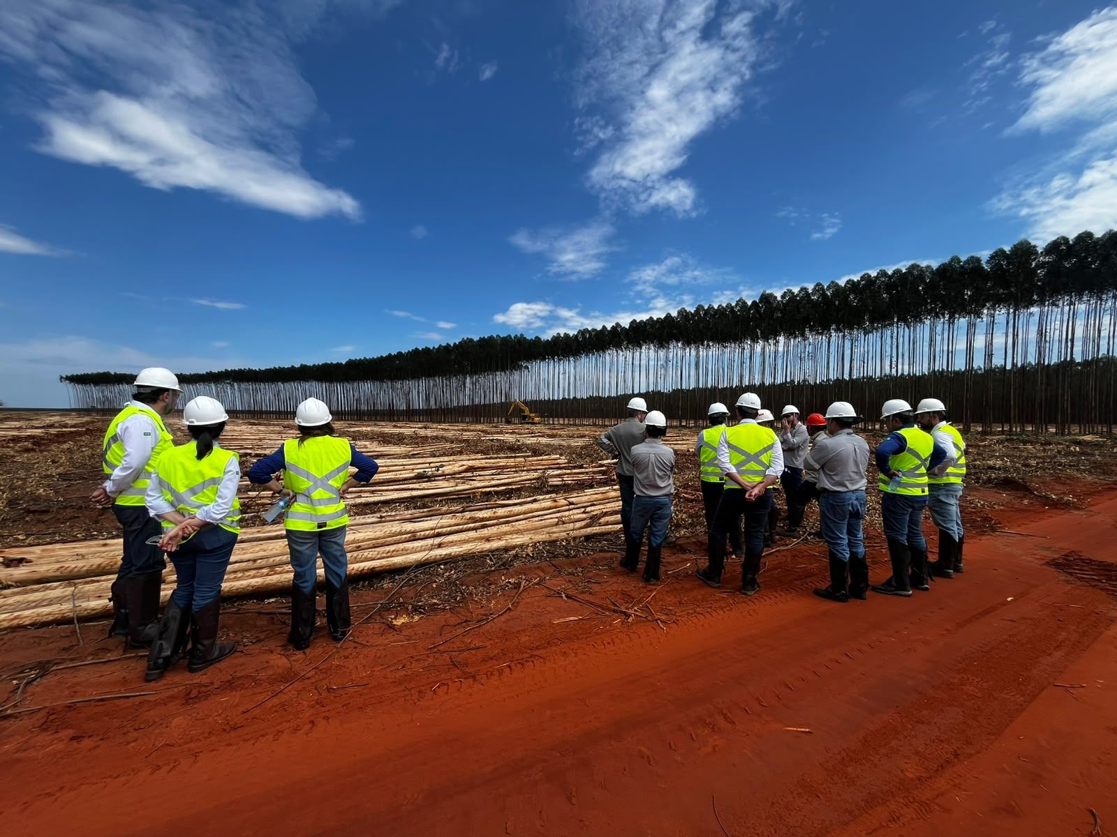 Suzano conclui primeira fase de teleoperação de harvester em ambiente operacional no Brasil